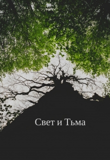 Книга. "Свет и Тьма" читать онлайн