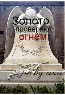 Книга. "Золото проверяют огнем" читать онлайн