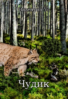 Книга. "Чудик" читать онлайн