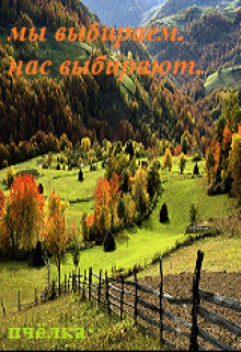 Книга. "Мы выбираем.Нас выбирают.(сказ 2-й)" читать онлайн
