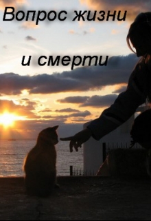 Книга. "Вопрос жизни и смерти" читать онлайн