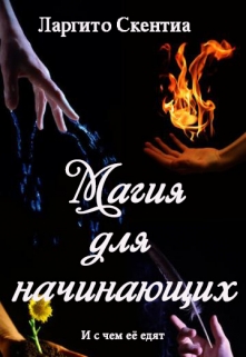 Книга. "Магия для начинающих, и с чем её едят" читать онлайн