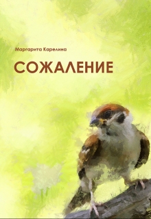 Книга. "Сожаление" читать онлайн