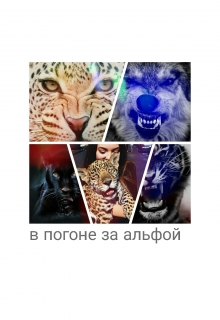 Книга. "в погоне за альфой" читать онлайн