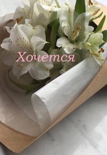 Книга. "Хочется " читать онлайн