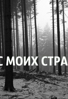 Книга. "лес моих страстей " читать онлайн