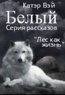Книга. "Белый" читать онлайн