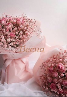 Книга. "Весна" читать онлайн