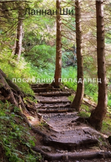 Книга. "Я к Сталину. Или. Последний попаданец." читать онлайн