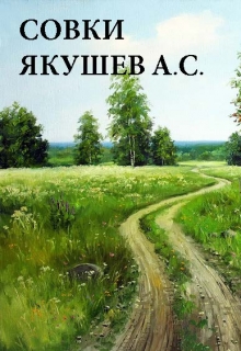 Книга. "Совки" читать онлайн