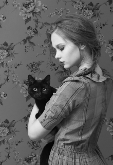 Книга. "Она и её кот. Любимец семьи" читать онлайн