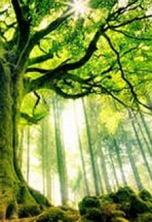 Книга. "Последний день лета" читать онлайн