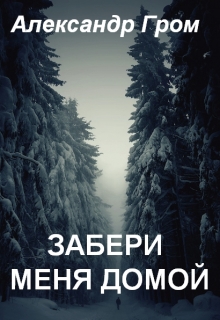 Книга. "Забери меня домой" читать онлайн