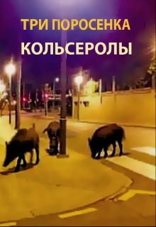 Книга. "Три поросенка Кольсеролы" читать онлайн