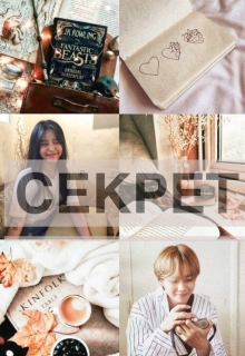 Книга. "Зима. Секрет" читать онлайн