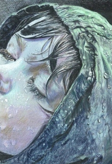 Книга. "Клён" читать онлайн