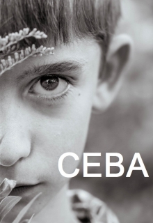 Книга. "Сева" читать онлайн