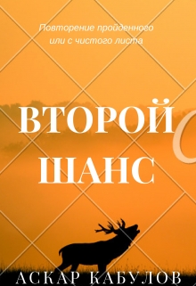 Книга. "Второй шанс" читать онлайн