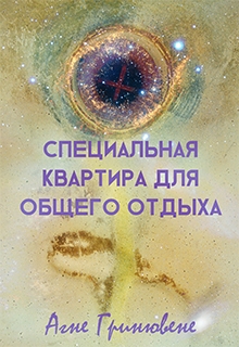 Книга. "Специальная квартира для общего отдыха" читать онлайн