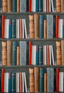Книга. "О пробивании в литературе" читать онлайн