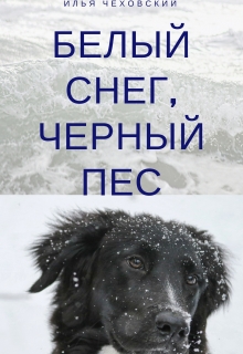 Книга. "Белый снег, чёрный пёс" читать онлайн
