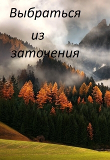 Книга. "Выбраться из заточения." читать онлайн