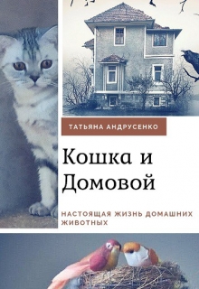 Книга. "Приключения Кошки и Домового" читать онлайн