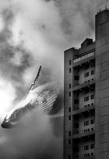 Книга. "Всего лишь сон..." читать онлайн