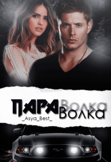 Книга. "Пара Волка. Книга 1. [редактируется]" читать онлайн
