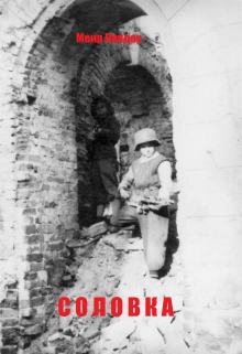Книга. "Соловка" читать онлайн