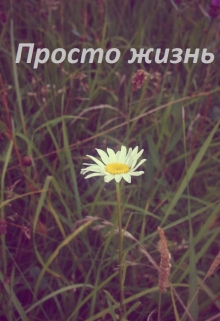 Книга. "Просто жизнь." читать онлайн