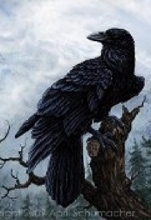 Книга. "Ворон: птенец" читать онлайн