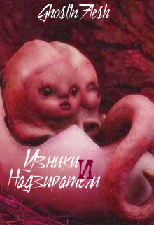 Книга. "Узники и надзиратели" читать онлайн