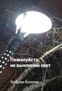 Книга. "Пожалуйста, не выключай свет " читать онлайн