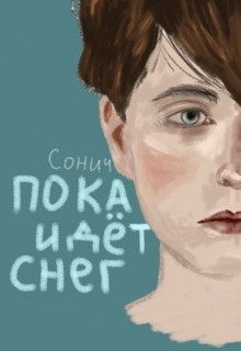 Книга. "Пока идёт снег" читать онлайн