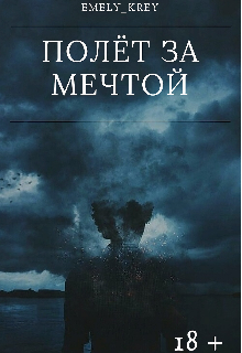Книга. "Полёт за мечтой" читать онлайн
