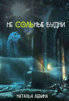 Книга. "Не Сольные будни" читать онлайн