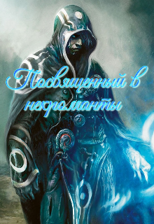 Книга. "Посвященный в никроманты" читать онлайн