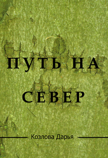 Книга. "Путь на Север" читать онлайн