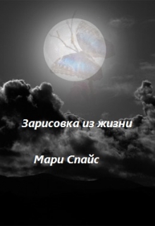 Книга. "Зарисовка из жизни" читать онлайн