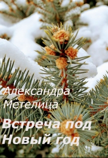 Книга. "Встреча под Новый Год" читать онлайн