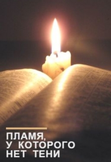 Книга. "Пламя, у которого нет тени" читать онлайн
