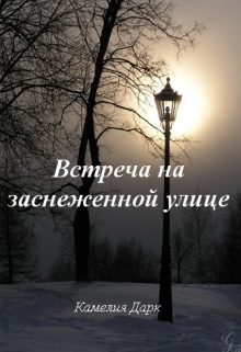 Книга. "Встреча на заснеженной улице" читать онлайн