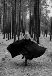 Книга. "Девушка в чёрном плаще,ибо это сон." читать онлайн