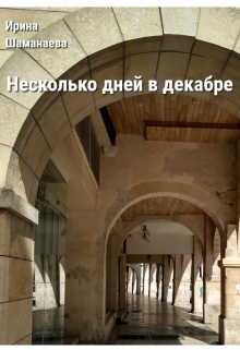 Книга. "Несколько дней в декабре" читать онлайн