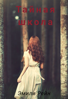 Книга. "Тайная школа" читать онлайн
