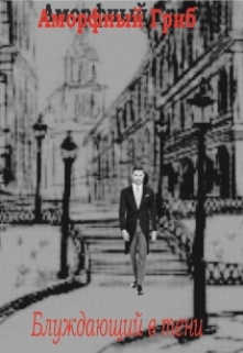 Книга. "Блуждающий в тени" читать онлайн