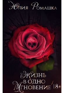 Книга. "Жизнь в одно мгновение..." читать онлайн