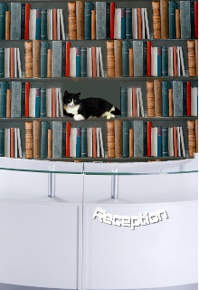 Книга. "Дневник кота Фили " читать онлайн