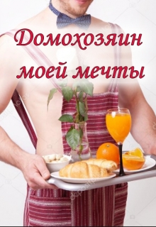 Книга. "Домохозяин моей мечты" читать онлайн